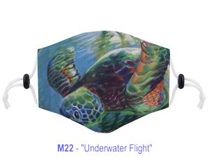 Underwater Flight