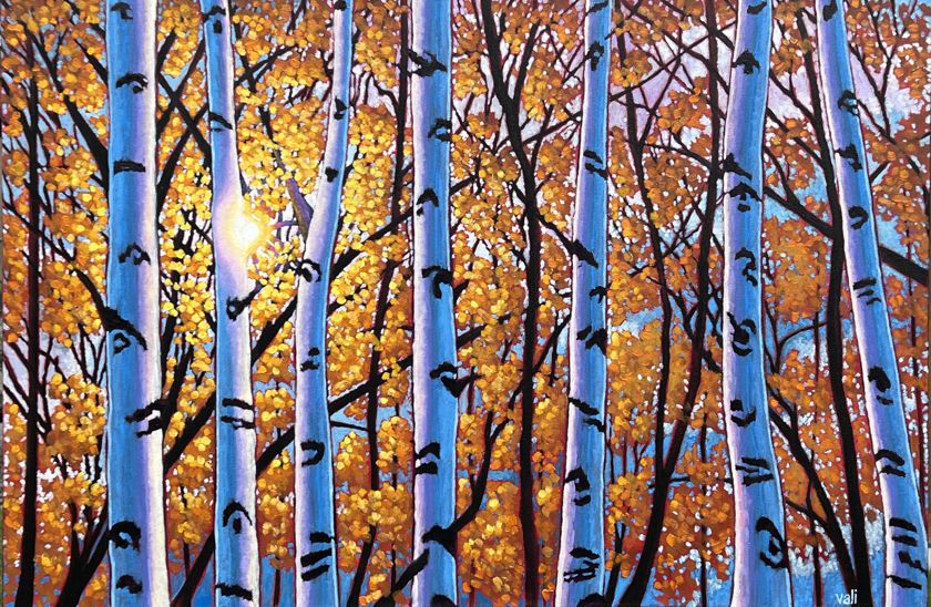 Birches, Eh?!